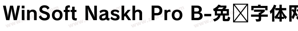 WinSoft Naskh Pro B字体转换